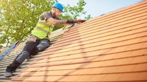 Best Roof Moss and Algae Removal  in Chaffee, MO